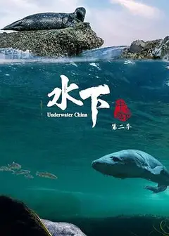 水下中国第二季